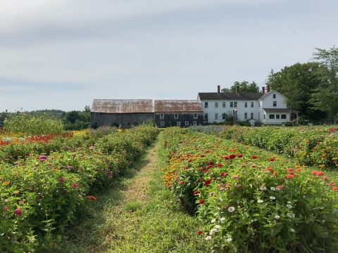 moulton farm meredith nh