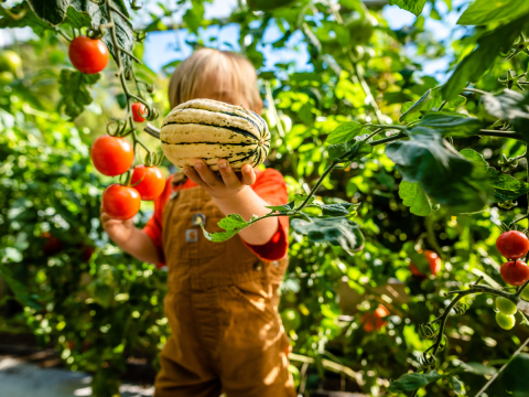 local food access workgroup
